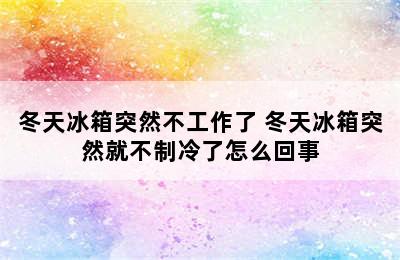 冬天冰箱突然不工作了 冬天冰箱突然就不制冷了怎么回事